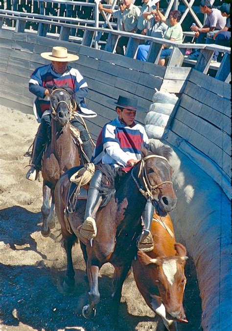 Southern Cone Travel: The Huaso and the Rodeo