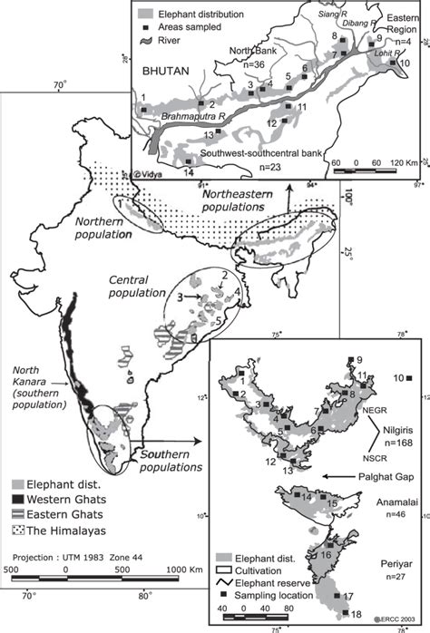 Elephant distribution in India: distribution in southern India courtesy... | Download Scientific ...