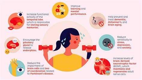 Some of the benefits of exercise on your brain : r/Exercise