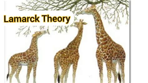 Lamarck Theory of Inheritance of Acquired Characteristics- Chapter-Evolution: Class-12-Biology ...