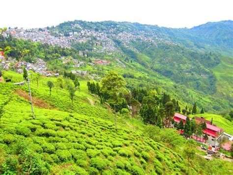 Visit the Beautiful places in Darjeeling, the Queen of the Himalayas, Darjeeling in West Bengal ...