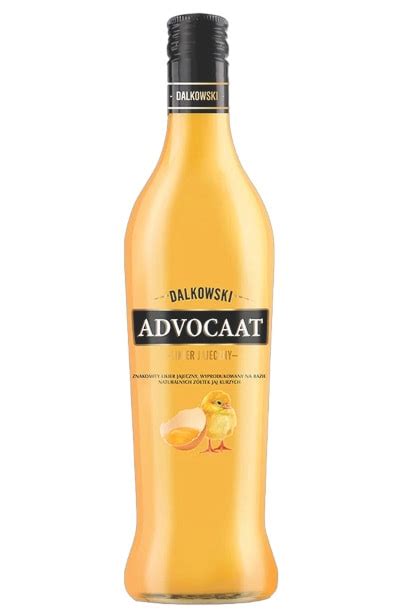 8 Best Advocaat Brands: A Festive Taste of Tradition | Drinks Geek