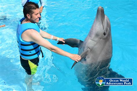 Ocean World Adventure Park | Visita Dominicana