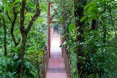 Monteverde Cloud Forest - Explore the World with Simon Sulyma