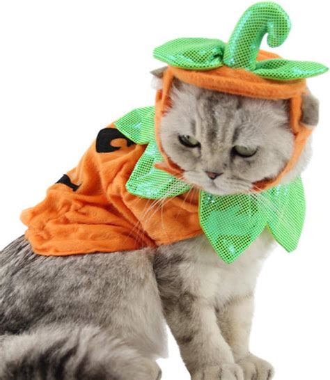 Amazon.com : POPETPOP Cat Pumpkin Costume-Halloween Cat Costume Suits ...