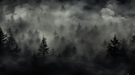 Misty dark pine forest 2K wallpaper download