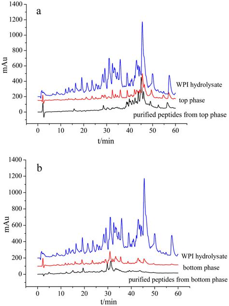 RP-HPLC analysis of the peptides. (a) RP-HPLC chromatograms of the WPI... | Download Scientific ...