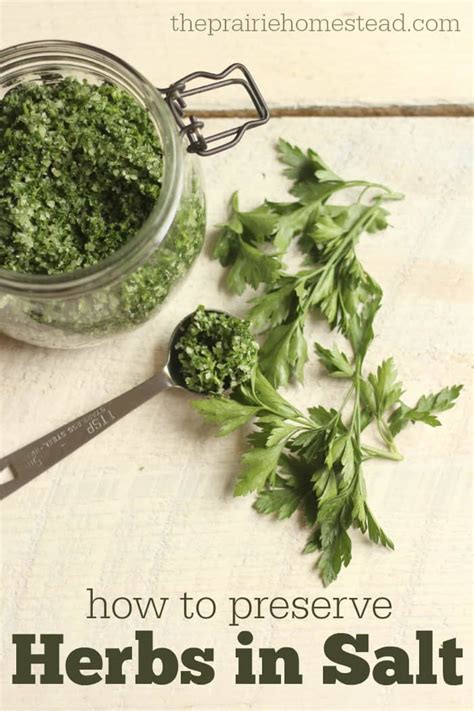 Homemade Herb Salt Recipe