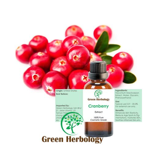 Cranberry Extract - Green Herbology