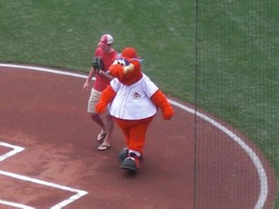 MLB Baseball Mascots: Gapper Cincinnati Reds Mascot Pictures