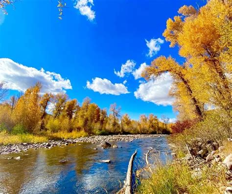 Fall in Utah- 12 Places to Enjoy Utah Fall Colors in 2023