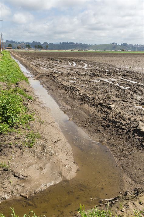 Arroyo Grande Creek will undergo a two-stage sediment removal and levee repair process as county ...