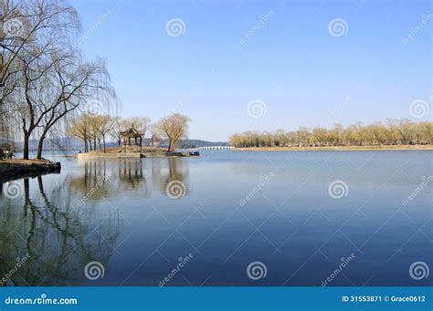 The quiet lake stock image. Image of flora, relax, peace - 31553871