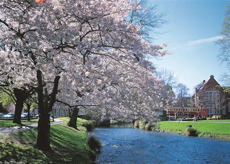 Visit Christchurch on a trip to New Zealand | Audley Travel US