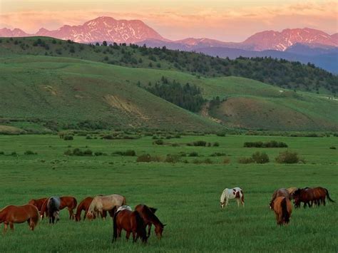 10 great dude ranches across North America | Dude ranch vacations ...