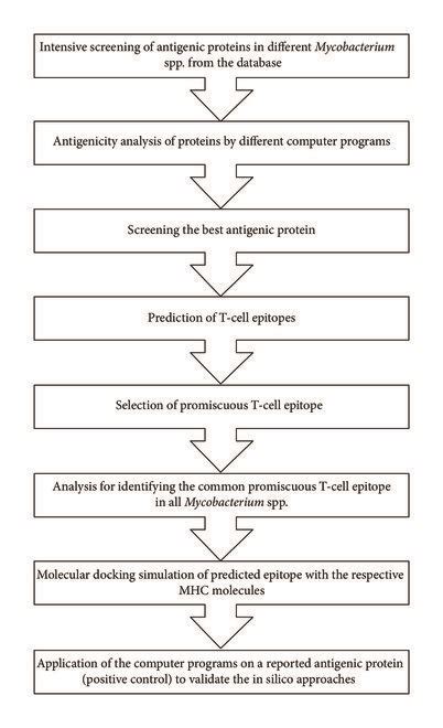 In silico approaches for T-cell epitope identification. | Download Scientific Diagram