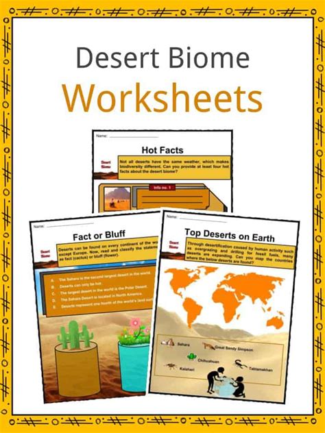 Desert Biome Facts, Worksheets, Types, Locations, Flora & Fauna Kids