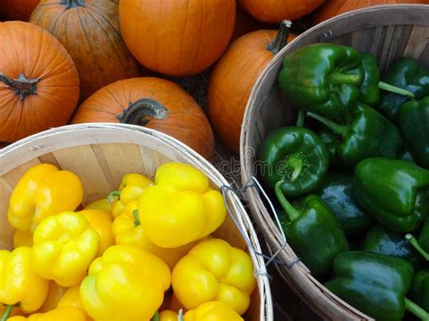 Fresh Picked Produce in Baskets at a Farmers Market Stock Photo - Image ...