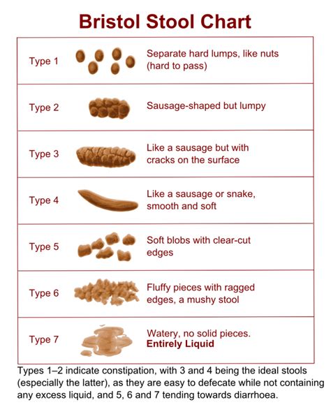 Bristol Stool Chart - Health Restored