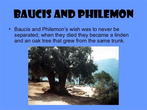 Greek Mythology: The story of Baucis and Philemon