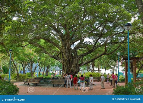 The Public Area at Kowloon City Park Editorial Photo - Image of land ...