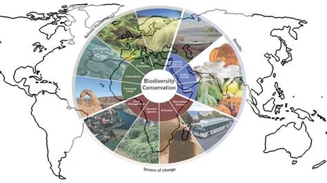 Difference between In situ and Ex situ Conservation