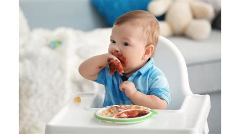 When to wean your baby? — Feed Eat Speak - Stacey Zimmels