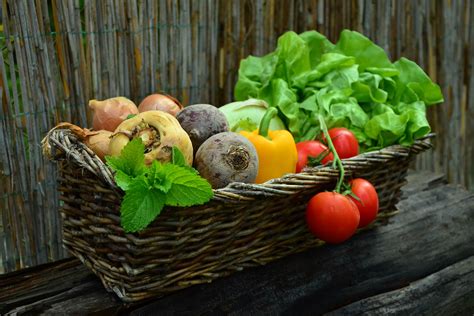 Free photo: Vegetable Basket - Agriculture, Basket, Eat - Free Download ...