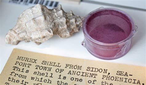 Solomons Blondes: Murex Purple Dye from Sea Shells in Phoenicia