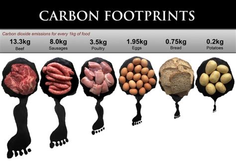 Peace and Sustainability: What's your Carbon Footprint Like?