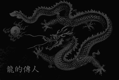 Dragon Wallpapers And Backgrounds - Wallpaper Cave