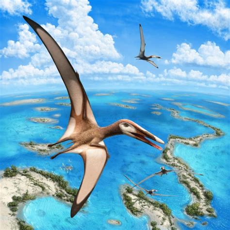 New Group of Ancient Flying Reptiles Identified by Paleontologists