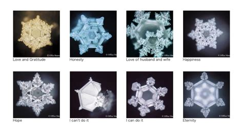 அறியலாம் ஆயிரம்: Masaru Emoto Water Experiment