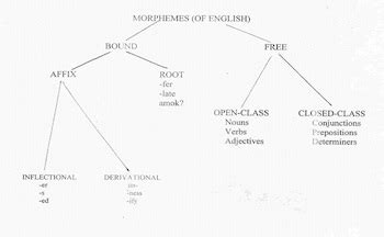 Morpheme Overview, Types & Examples - Lesson | Study.com