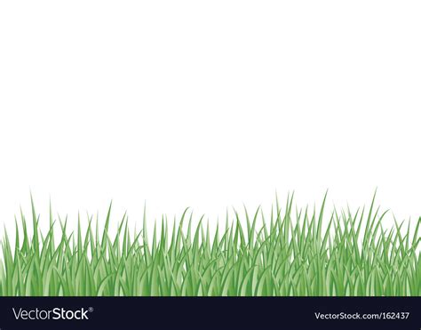 Grass border Royalty Free Vector Image - VectorStock