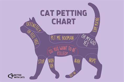 Cat Petting Chart - Learn How To Pet Your Pet