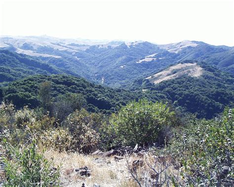 Irish Hills Natural Reserve - San Luis Obispo