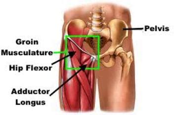 Fixing Hip Flexor Pain – Squat University