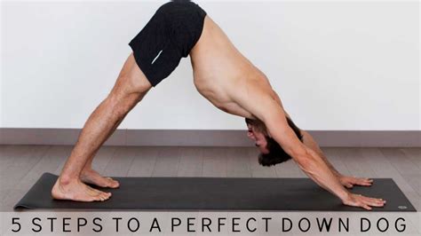 15+ Downward Facing Dog Wiki | Yoga Poses