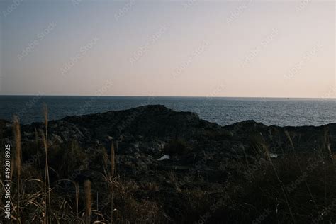 Beautiful scenery of Jeju Island, South Korea Stock Photo | Adobe Stock