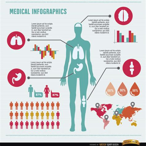 Free Women's Health Infographics Vector Pack | FreeVectors