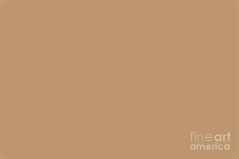 Sherwin Williams Trending Colors of 2019 Caramelized Light Brown SW 9186 Solid Color Digital Art ...