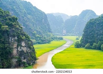 1,004 Tam Coc Rice Paddy Field Images, Stock Photos & Vectors ...