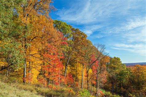 Hoosier National Forest