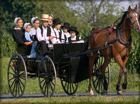 Home | The Amish-Buggy - Great prices on all Amish products