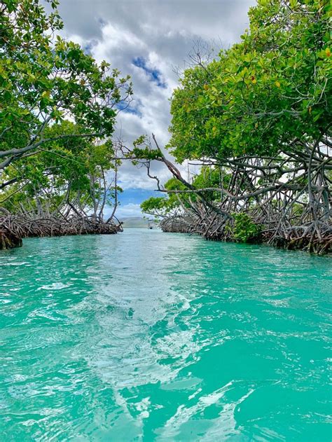 Cayo Caracoles, La Parguera Lajas, Puerto Rico | Nature, Natural beauty, Puerto rico