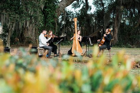 Venue with Spanish Moss - Low Country Luxurious Wedding