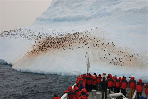 Enjoy Luxury Antarctica Cruises | Silversea