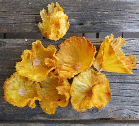 An Exotic Garnish: Pineapple Flowers