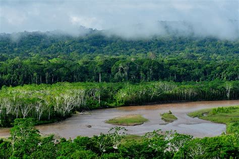 Amazon Facts Bolivia - Gulliver Expeditions Expeditions